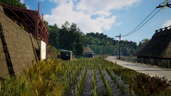 Rice Terraces