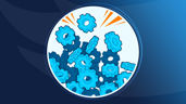 What do I do with so many?