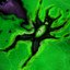 Paricidium
