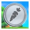 Vegetable Farmer