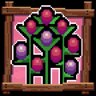 Flowers for those who want you