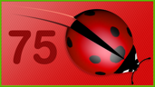 Many ladybugs!