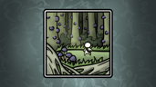 Jungle Champion