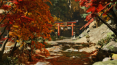Purify Enri Village