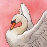 Swan Song, Solo