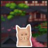 Find 16 cats