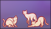 Found 440 cats