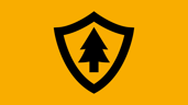 Firewatch