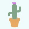 Potted cactus