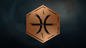 Raider