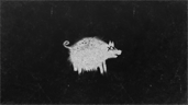 Kill the pig...