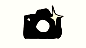 Picture Perfect