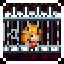 Save a prisoner