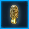 Golden Morel Planet 4