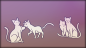 Found 360 cats