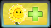 Sun Heals