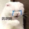 不哭不是自己人