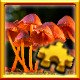 Mushrooms Complete!