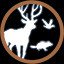 All Autumn Animals…Check