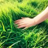 Touch Grass