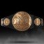 Birth of a Tag Champion