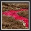 River of Blood