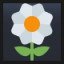 Blossom