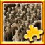 Unique Terracotta Complete!