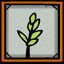 Plant a Tree