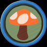 Mycology Badge
