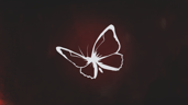 Unlife is strange
