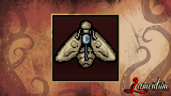 The moth and the flame
