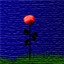 A Red Rose