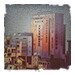 The American Dream in Egypt