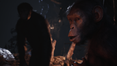 He Ain't Heavy, He's My Bonobo