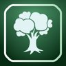 Oak
