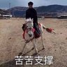 能通关不错了