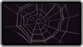 Web Surfing