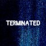 TERMINATED