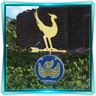 I Brake for Chocobos
