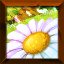 Daily Dungeon