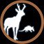 All Summer Animals…Check