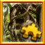 Strangler Fig Complete!