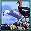 Puzzle 14 Complete