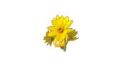 Shenmue II: Flower Power