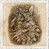 Scavenger-Symbiosis-Cooperation