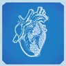 A Change of Heart