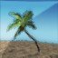 The Vacationer