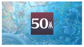 YUM Rank 50