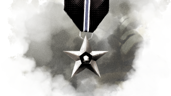 Colonel